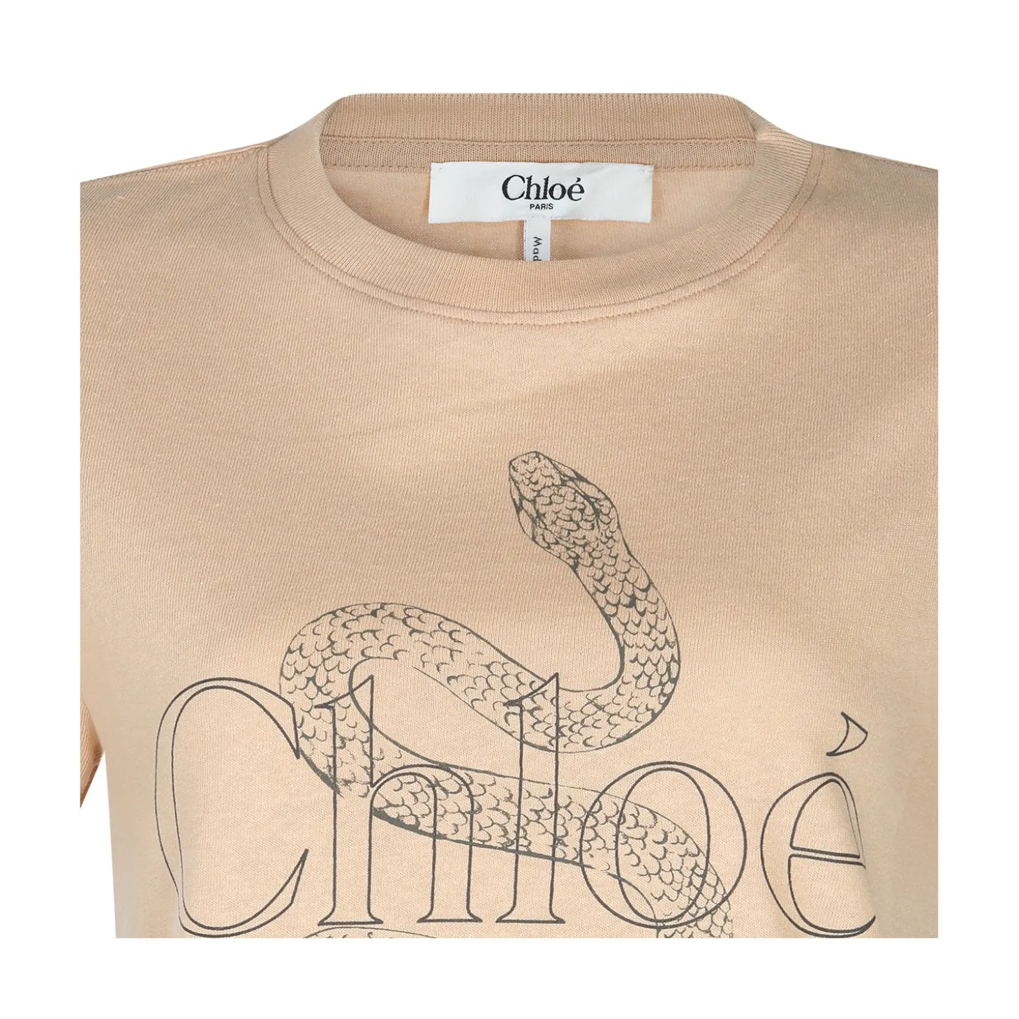 beige_cotton_tshirt_2-3.webp BEIGE COTTON T-SHIRT