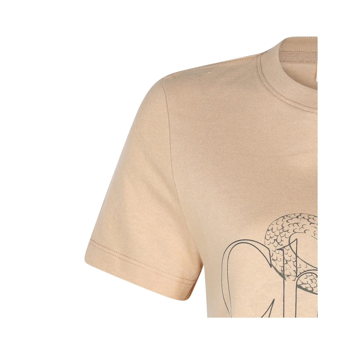 beige_cotton_tshirt_3.webp BEIGE COTTON T-SHIRT