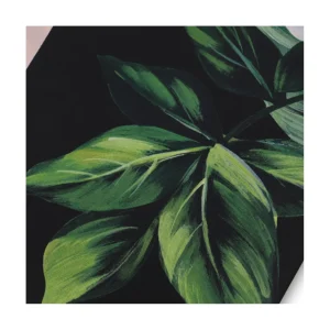 BLACK SILK SCARVES