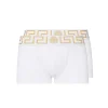 WHITE COTTON UNDERWEAR